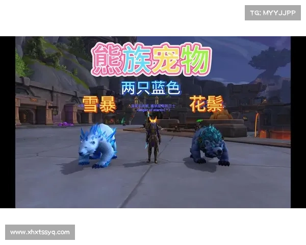 魔兽世界小宠物对战：解锁装备之道